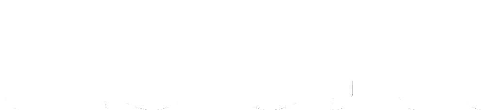 Microsoft Zoom